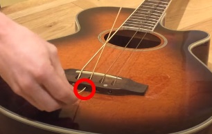 Acoustic Basses do not have Bridge Pins like Acoustic Guitars