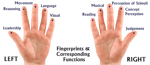 How Does Playing an Instrument Improve Finger Dexterity